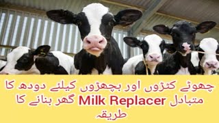 How to make Milk Replacer for newly born calfs at home  How to use milk Replacer [upl. by Vorfeld]