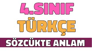 4Sınıf Türkçe  Sözcükte Anlam Konu Anlatımı ve Soru Çözümü Sözcükte Yapı [upl. by Acacia434]