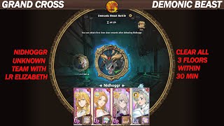 GRAND CROSS  NIDHOGGR GUIDE  UNKNOWN TEAM WITH LR LIZ IS VERY GOOD TO CLEAR ALL FLOORS [upl. by Mail]