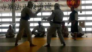 ISKSR Randori Shorinji kempo seïgido ryu 2 [upl. by Egedan456]