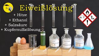 Eiweißlösung  Hitze  Salzsäure  Ethanol  Kupfersulfatlösung [upl. by Annazor283]