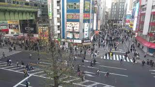 オノデンch【秋葉原ライブカメラ Akihabara live camera】 [upl. by Pich]