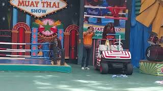 Orangutan Boxing Show at Safari World Bangkok [upl. by Thacker774]