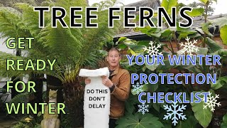 TREE FERNS WINTER CARE PREPARATIONS  Frost Protection for Dicksonia Antarctica [upl. by Inanaup557]