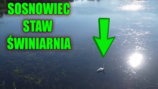 Sosnowiec  STAW ŚWINIARNIA mało znany [upl. by Virginia182]