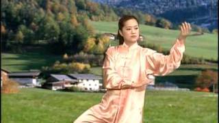 YangStyle 48 Form Tai Chi Chuan [upl. by Ralph]