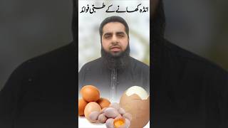 Health benefits of eating eggs Safdar Islamic Tube [upl. by Ecirbaf]