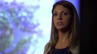 Biochar  the future of sustainable agriculture Lauren Hale at TEDxUCR [upl. by Alliehs]