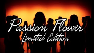 PASSIONFLOWER Jon Gomm Limited Edition A Cappella Cover [upl. by Iblok]