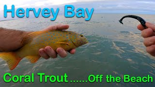 Hervey Bay  Land based Coral Trout [upl. by Aicirtac]