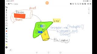 heam catabolism Hematology module [upl. by Ahteral]