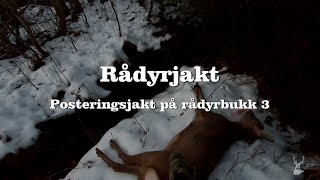 Rådyrjakt Posteringsjakt på rådyrbukk 3 [upl. by Rabassa]