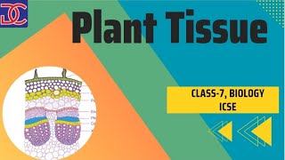 Class7 Biology ICSE Plant Tissue full chapter in one shot [upl. by Soinotna741]