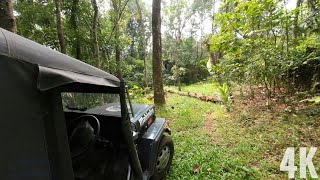 POV Off Road  36 year Old Mahindra Jeep  Clearing Obstacles on the Way  4K  ASMR  Rubber Plants [upl. by Leverett]