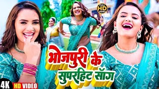 Video  Pawan Singh  राजाजी के दिलवा  Shivani Singh  Rajaji Ke Dilwa  New Bhojpuri Song 2024 [upl. by Nedap764]