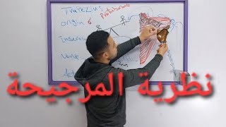 Trapezius Muscle Action ونظرية المرجيحة [upl. by Airbmat]