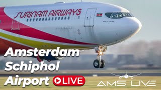 Live Arrivals at Amsterdam Schiphol Airport [upl. by Anairdna]