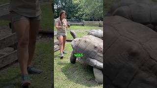 The woman devoted her entire life to the zoo heartwarmingpets animallover animals cute [upl. by Eelyac703]