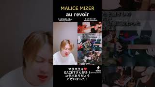 『au revoir』MALICE MIZER [upl. by Nnaeirual]