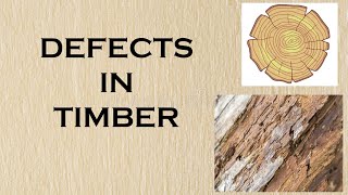 Defects in timber [upl. by Nesral792]