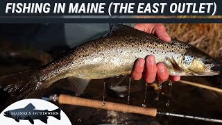 Fly Fishing the East Outlet Maine  Landlocked Salmon and Brook Trout Fishing [upl. by Verada663]