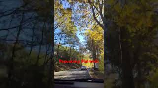 Going to Malmedy shortsvideo travel nature shortsfeed shorts [upl. by Hoang]