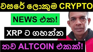 2024 වසරේ ලොකුම CRYPTO NEWS එක  XRP ට ගහන්න තව ALTCOIN එකක් [upl. by Wakerly]