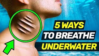 5 Insane Ways to Breathe Underwater [upl. by Teemus]