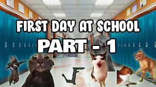 Cat Memes First Day at School Part 1 [upl. by Danelle]