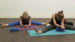 60 minutes Yin Yoga for the Spine [upl. by Aiz]