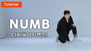 CIX씨아이엑스순수의시대NUMB 안무 튜토리얼 MIRRORED Dance Coverㅣ차완호 선생님 [upl. by Korry784]