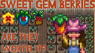 Sweet Gem Berries  Are They Worth It  Stardew Valley 16 [upl. by Mast]