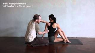 ardha matsyendrasana 1  Yoga Resource Practice Manual eBook video library [upl. by Jarlathus]