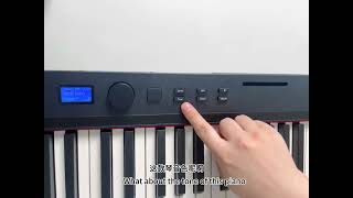 PH88Q 88 Key Electric Piano Keyboard Acoustic Full Weighted 88 Keyboard Electronic Digital Piano [upl. by Oirelav]