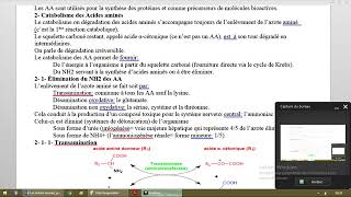 Métabolisme des acides aminés [upl. by Belamy]