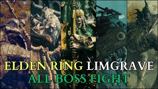 Elden Ring All Limgrave Boss Fights Solo No Summons No Hit No Damage Parry Limgrave All Bosses [upl. by Brock]