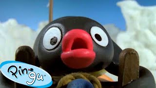 Pingu Gets Competitive 🐧  Pingu  Official Channel  Cartoons For Kids [upl. by Juliette]