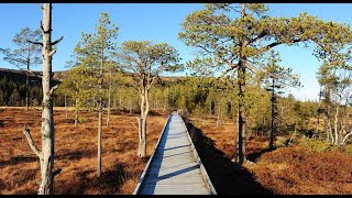 Winter in Fulufjället National Park in Dalarna Sweden [upl. by Kirkwood]