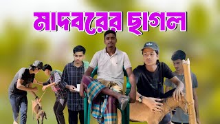 মাদবরের ছাগল চুরি  Madborer Cagol Curi [upl. by Latona483]