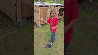 Homestead Chores With Kids How to clean out a goat stall [upl. by Etnoj]