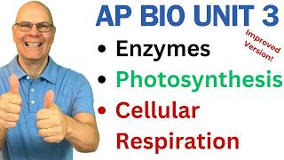 Crush AP Bio Unit 3 Enzymes Photosynthesis and Respiration [upl. by Uyekawa29]