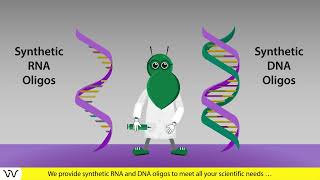 Custom oligonucleotide synthesis  30 years of experience  Dharmacon™ reagents [upl. by Skipper186]