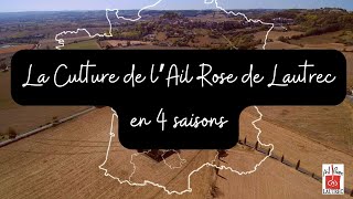 La Culture de lAil Rose en quatre saisons [upl. by Nelleoj]