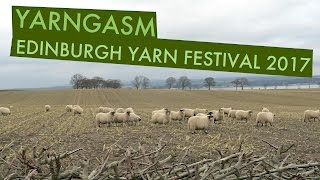 YARNGASM Episode 227  quotEdinburgh Yarn Festival Recap  Yarn Haulquot [upl. by Masha]