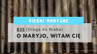 O Maryjo Witam Cię DN nr 835 [upl. by Compton18]