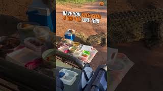 Crocodile joins picnic and steals cooler box [upl. by Catina]