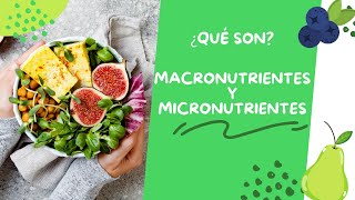 ¿Qué son los macronutrientes y micronutrientes [upl. by Mellar]