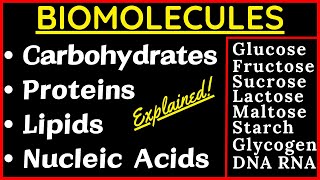 Biomolecules Carbohydrate Glucose Sucrose Protein Nucleic Acid DNA RNA Lipid Cholesterol Steroid Fat [upl. by Aicylla274]