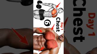 Full Chest train chest ka complete workout chest workout at gym best chest workout gymworkout gym [upl. by Anagrom]