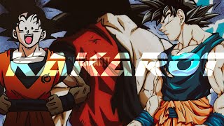 AMV DE KAKAROTSHORTY Z [upl. by Herwick]